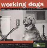 Working Dogs By Colleen Needles, PB ISBN13: 9781842010112 ISBN10: 1842010115 for USD 26.1