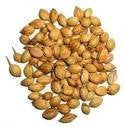Buy 3 Pack Dhaniya Whole 200gms each (Total 600 gms) online for USD 22.62 at alldesineeds