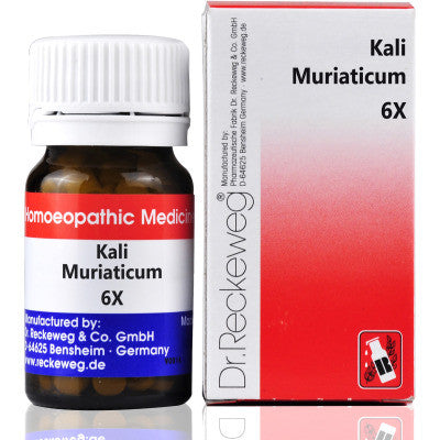 Dr-Reckeweg Kali muriaticum 6X 20gms - alldesineeds