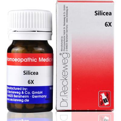 Dr-Reckeweg Silicea 6X 20gms - alldesineeds