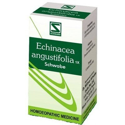 Buy 2 x Willmar Schwabe India Echinacea Angustifolia 1X Tablets (20g) each online for USD 26.28 at alldesineeds