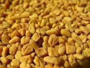 Buy 3 Pack Methi 200gms each (Total 600 gms) online for USD 116.73 at alldesineeds