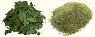 Buy Pure Neem Powder 100gms online for USD 7.85 at alldesineeds