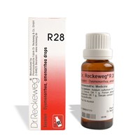Dr. Reckeweg R28 – Dysmenorrhea, Amenorrhea, Menstrual problems drops (22 ml each)