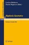 Algebraic Geometry, Bucharest, 1982 By L. Badescu, HB ISBN13: 9783540129301 ISBN10: 3540129308 for USD 42.26