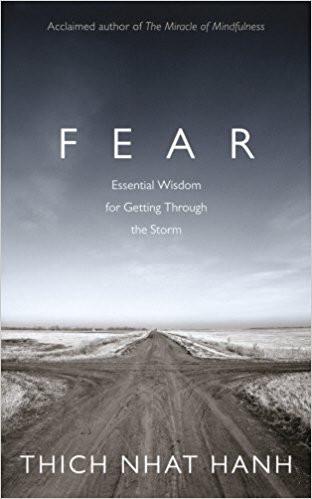Fear: Essential Wisdom for Getting Through The Storm Paperback – 15 Nov 2012
by Thich Nhat Hanh  (Author) ISBN10: 1846043182 ISBN13: 9781846043185 for USD 16.28