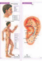 Buy 4 Acupunture Charts [Apr 01, 2008] B. Jain online for USD 15.7 at alldesineeds