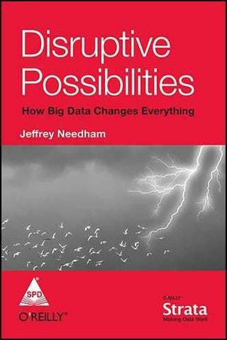 Disruptive Possibilities How Big Data Changes Everything [Jul 01, 2014] Needh]