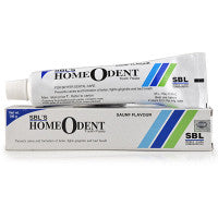 Pack of 2 SBL Homeodent Tooth Paste (Saunf) (100g)