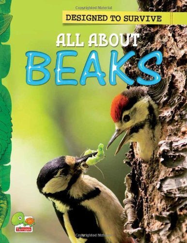 Buy All About Beaks: Key stage 1 [Jan 01, 2011] Sen, Moen online for USD 12.67 at alldesineeds