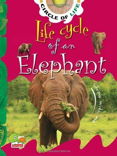 Buy Life Cycle of an Elephant: Key stage 1 [Jan 01, 2011] Mukherjee, Vijita online for USD 13.9 at alldesineeds