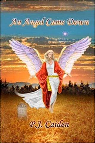 An Angel Came Down: Volume 1 Paperback – Import, 11 Aug 2011
by P. J. Caiden  (Author), Daniel B. Holeman (Author) ISBN13: 9781463759612 ISBN10: 1463759614 for USD 35.92