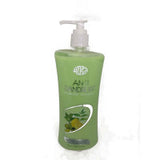 Pack of 2 Meghdoot Ayurvedic Anti Dandruff Shampoo (500g)