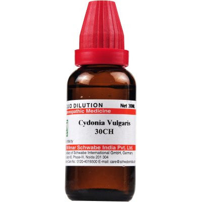 Buy 2 x Willmar Schwabe India Cydonia Vulgaris 30 CH (30ml) each online for USD 15.06 at alldesineeds