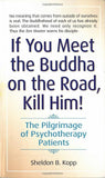 If You Meet the Buddha on the Road, Kill Him: The Pilgrimage Of Psychotherapy