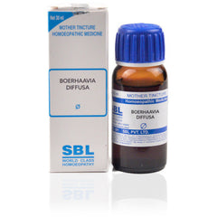 2 x SBL Boerhaavia Diffusa 1X Q 30ml each - alldesineeds