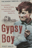 Gypsy Boy By Mikey Walsh [Paperback] [Jul 02, 2011] Mikey Walsh]