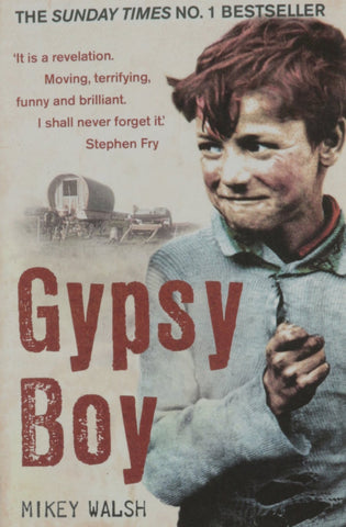 Gypsy Boy By Mikey Walsh [Paperback] [Jul 02, 2011] Mikey Walsh]