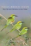 Indian Birds in Focus by Amano samarpan, HB ISBN13: 9788183281386 ISBN10: 8183281389 for USD 47