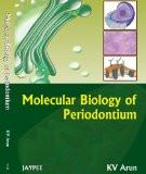 Molecular Biology of Periodontium by KV Arun Paper Back ISBN13: 9788184489132 ISBN10: 8184489137 for USD 48.38