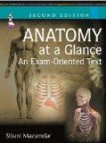Anatomy at a Glance—An Exam-oriented Text by Sibani Mazumdar Paper Back ISBN13: 9789351523550 ISBN10: 9351523551 for USD 41