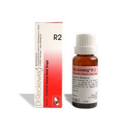 2 x Dr Reckeweg Drops (pack of 22ml) R2 each - alldesineeds